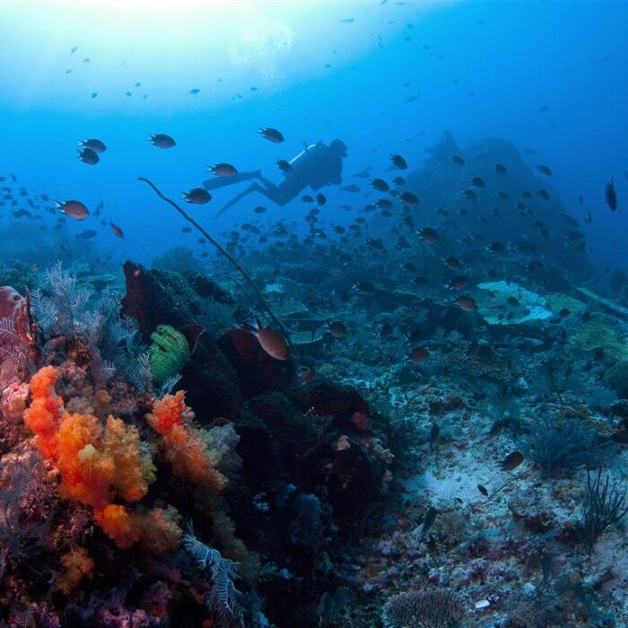 DeepBlue_Deep (Medium)